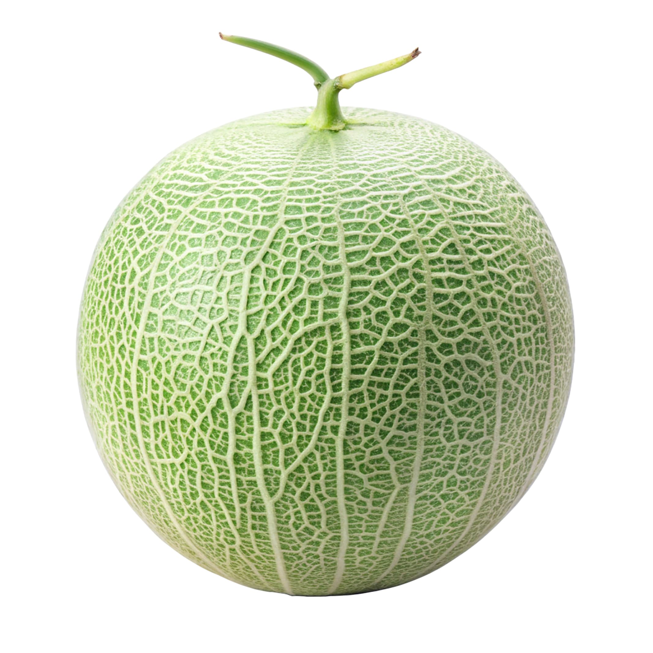 Vibrant Honeydew Melon Design PSD