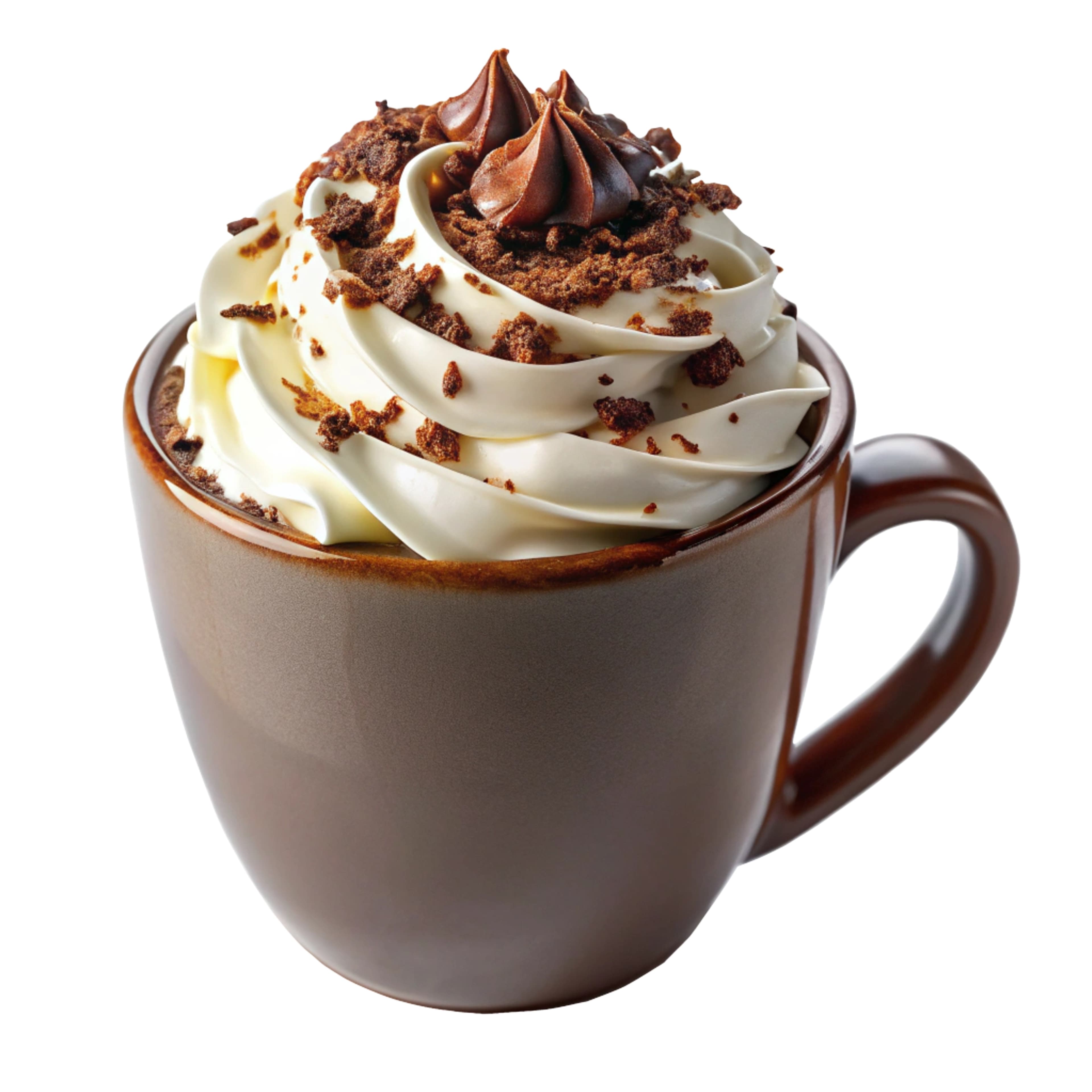 Decadent Hot Chocolate with Whipped Cream