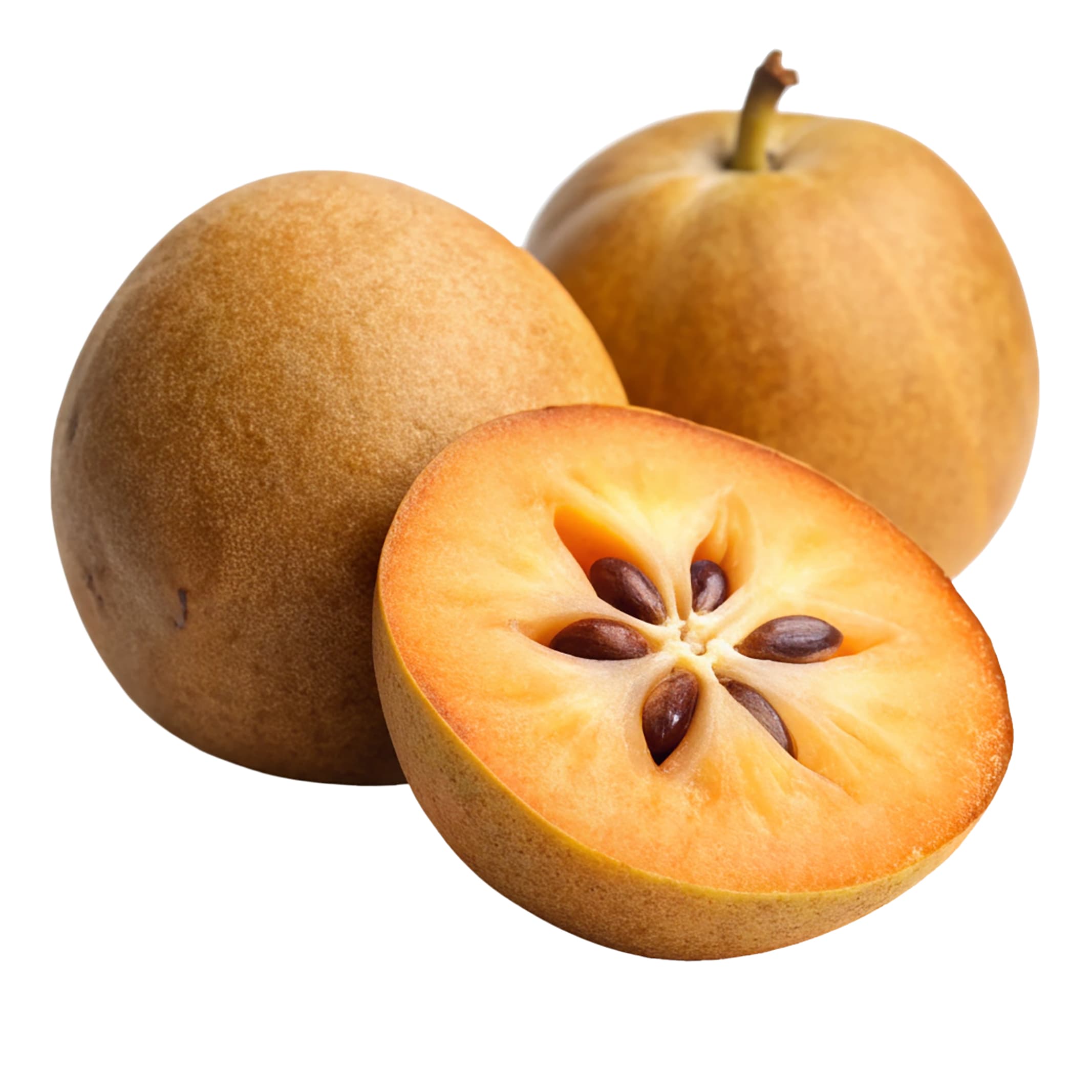 Tropical Sapodilla: A Vibrant PSD Design