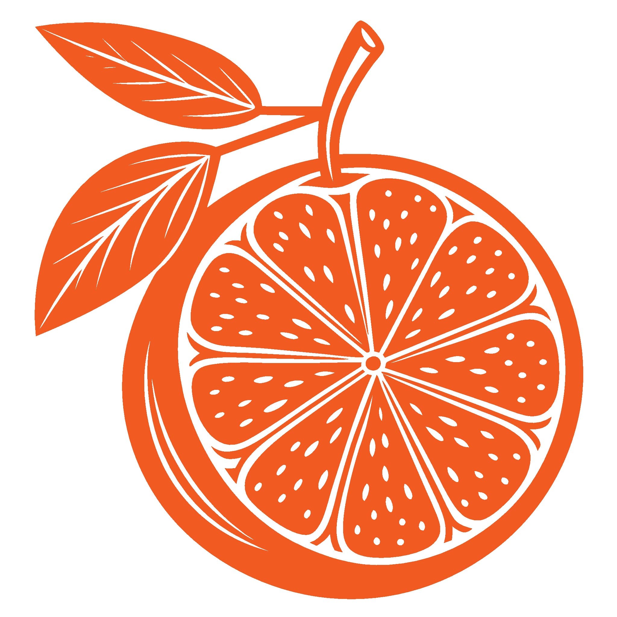 Orange Fruit Icon  5 