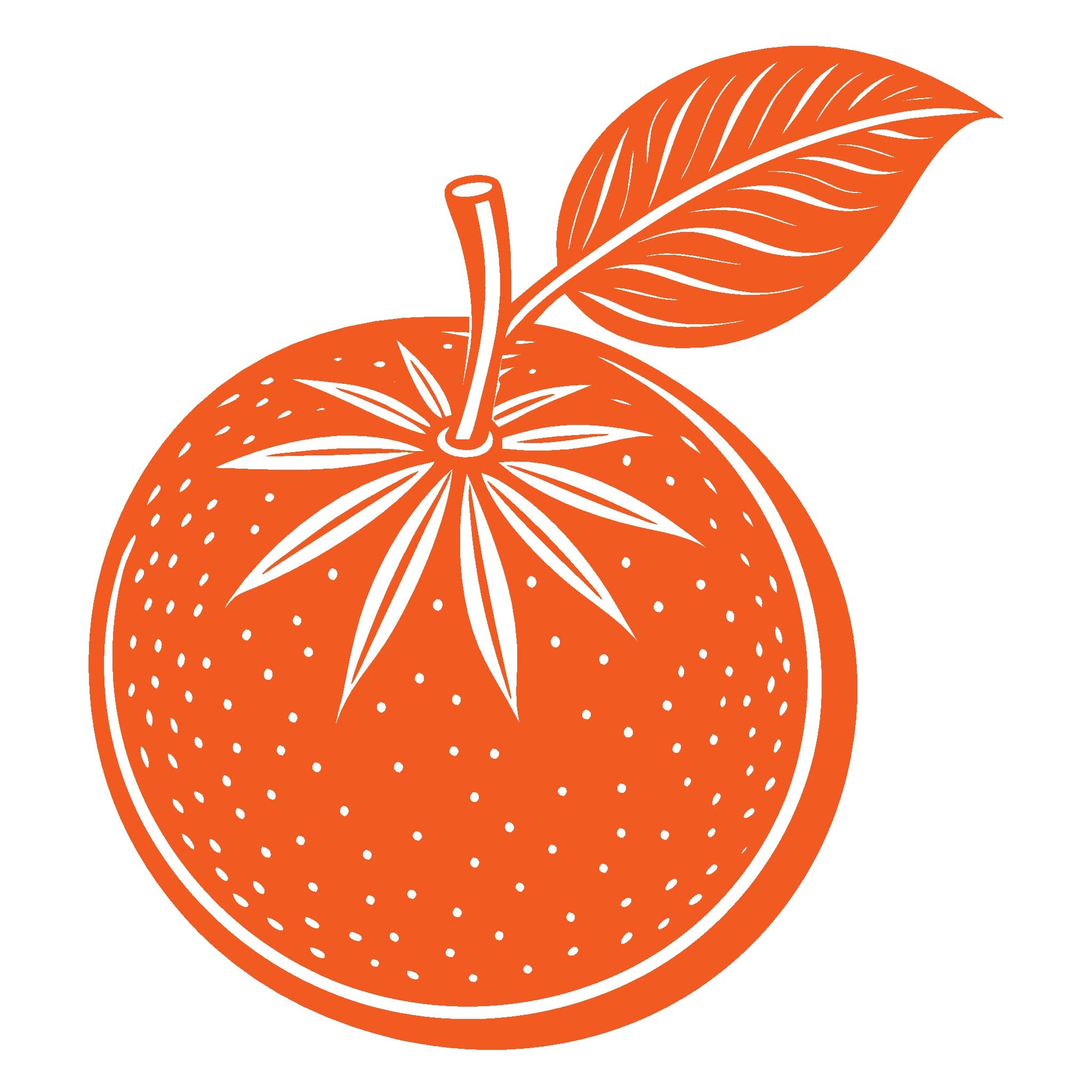 Orange Fruit Icon  7 