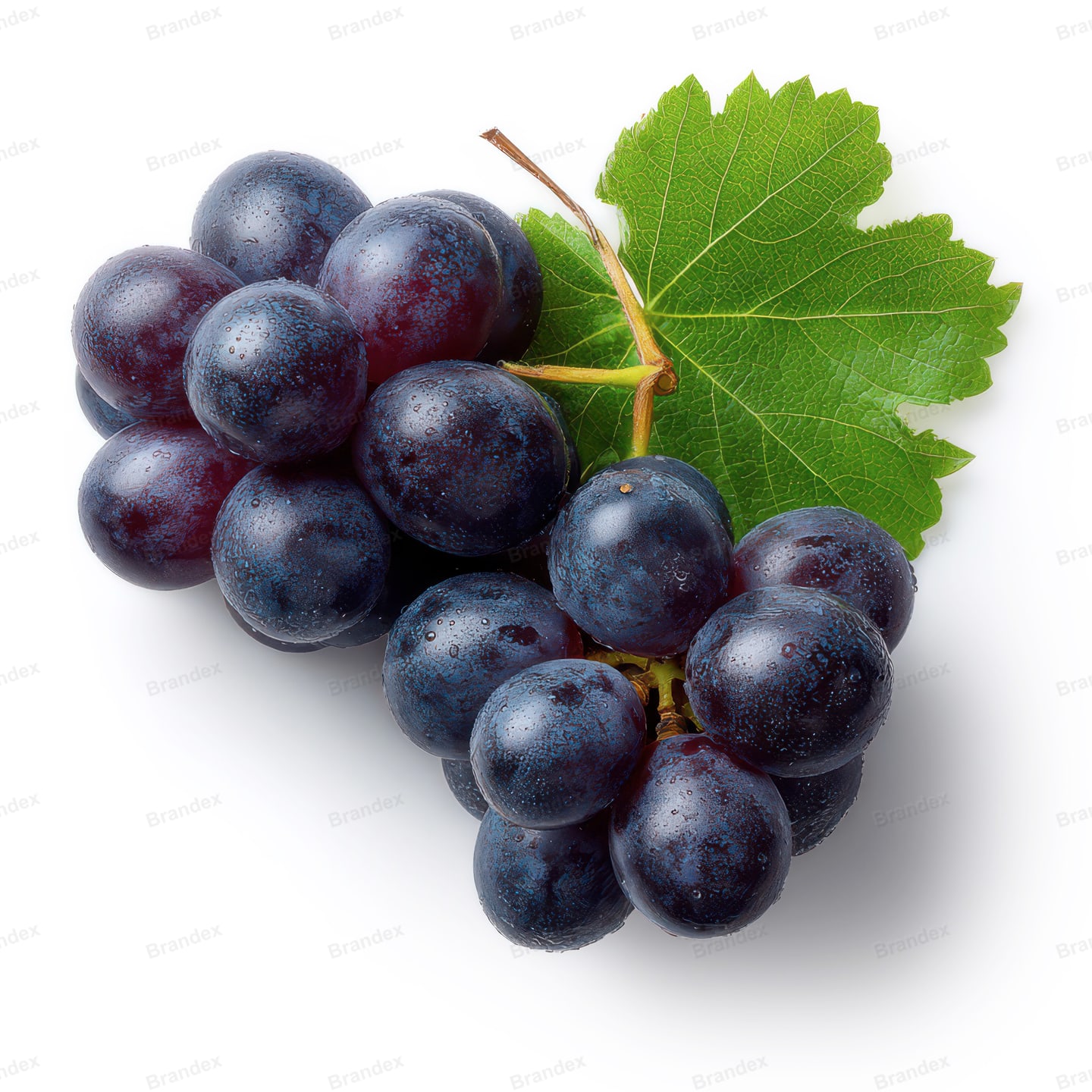 Black Grapes
