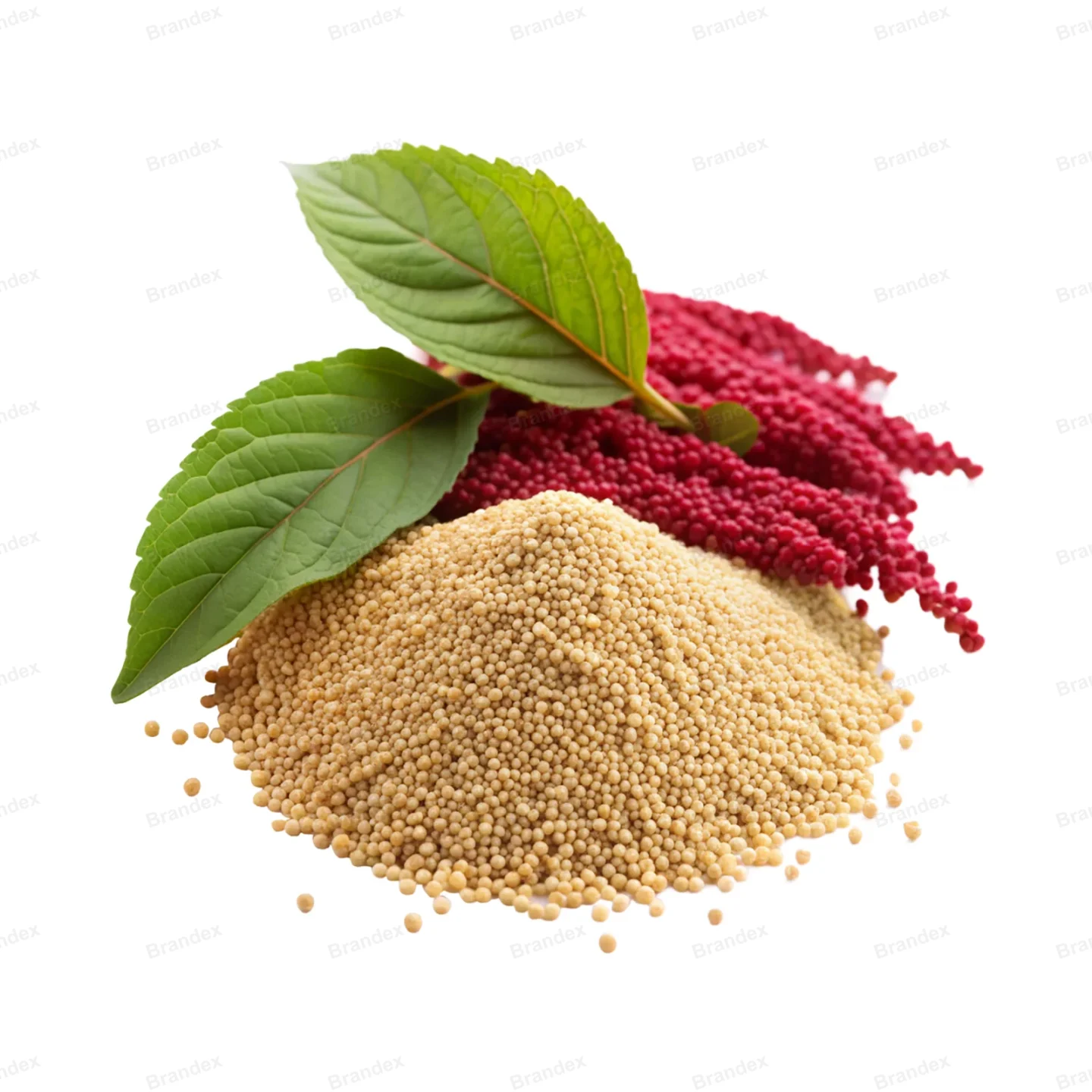 Amaranth Color Palette - Isolated PSD