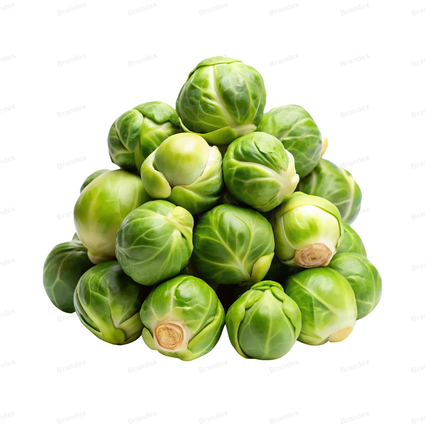 Fresh Brussels Sprouts - Isolated PSD on Transparent Background