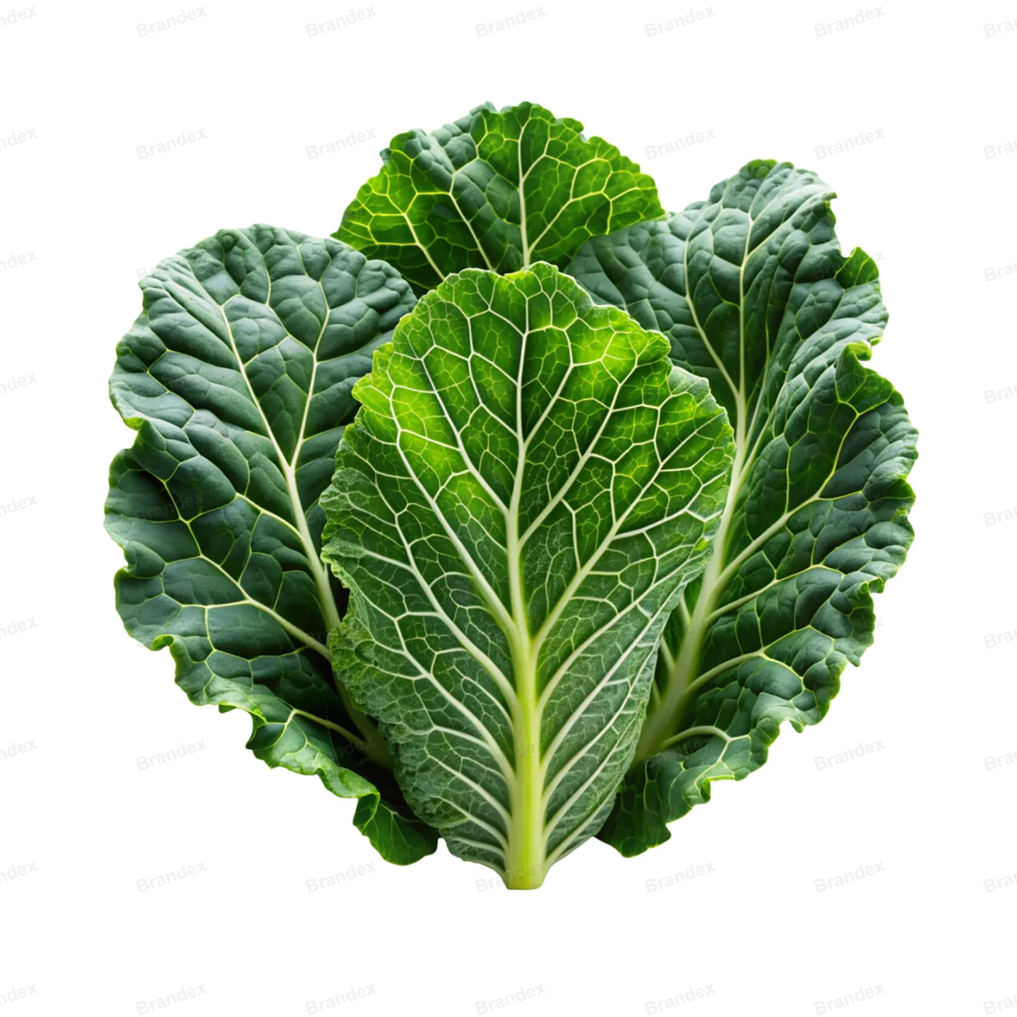 Fresh Collard Greens - Isolated PSD with Transparent Background