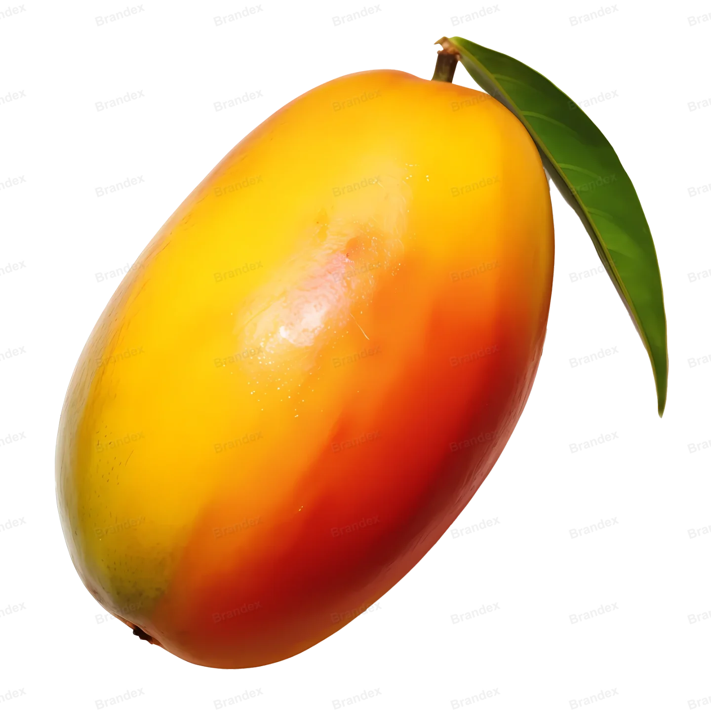 Fresh Mango Fruit - Isolated PSD Cutout