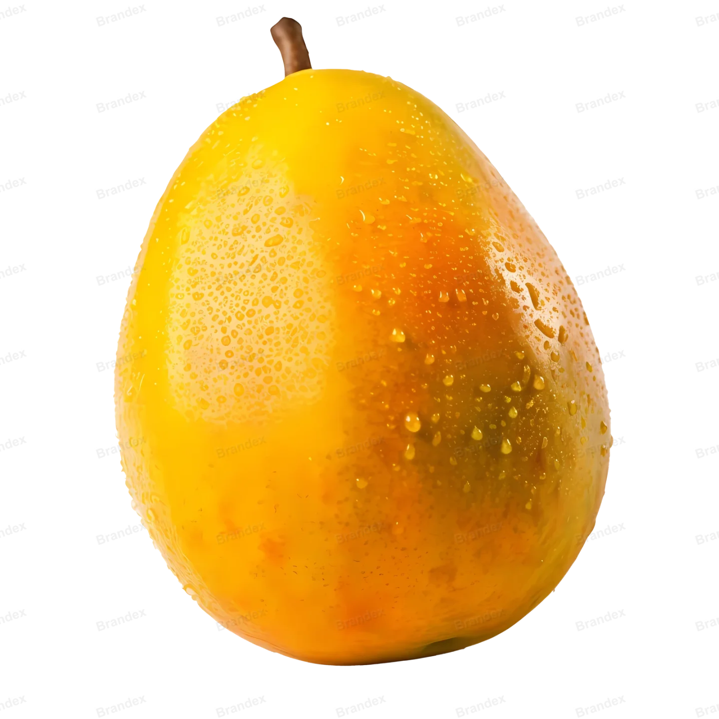Fresh Mango Fruit - Isolated PSD with High-Resolution Texture (12)