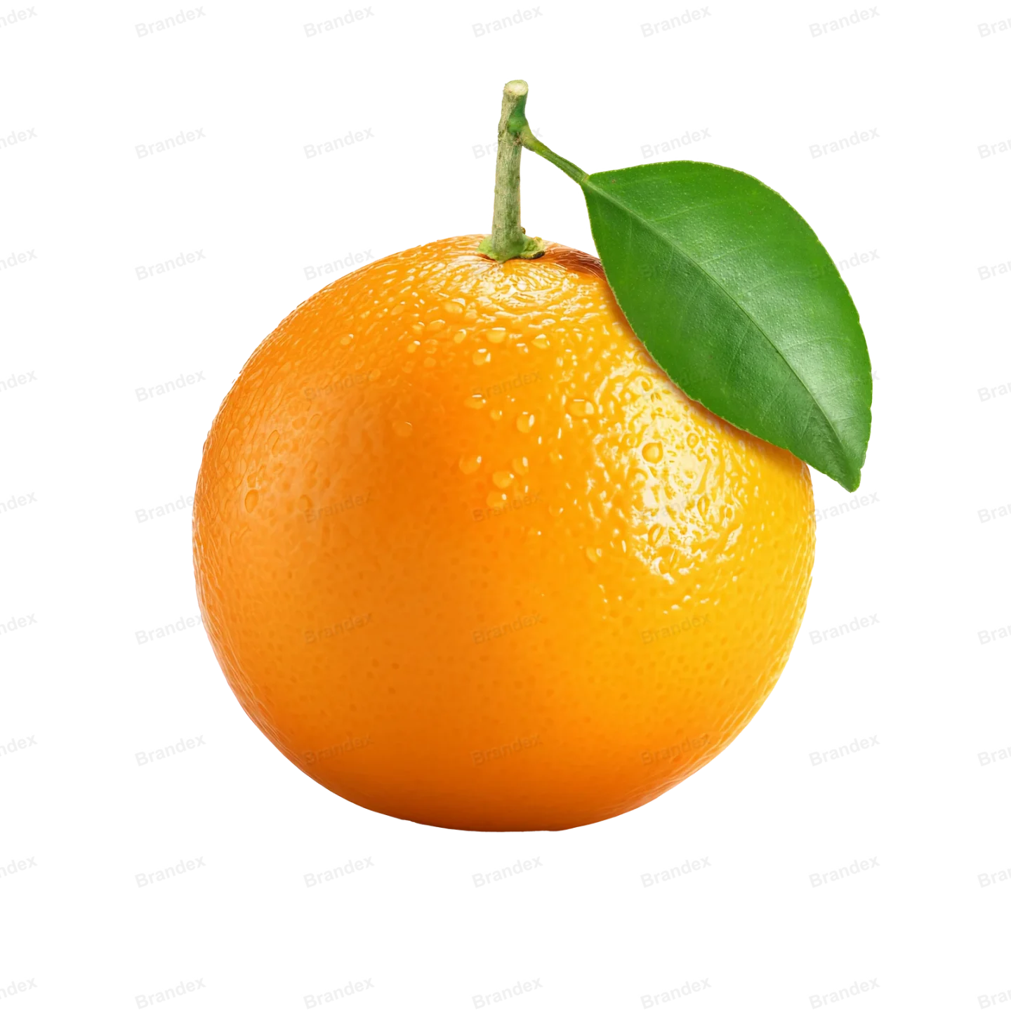 Fresh Orange Fruit - Isolated PSD on Transparent Background (13)