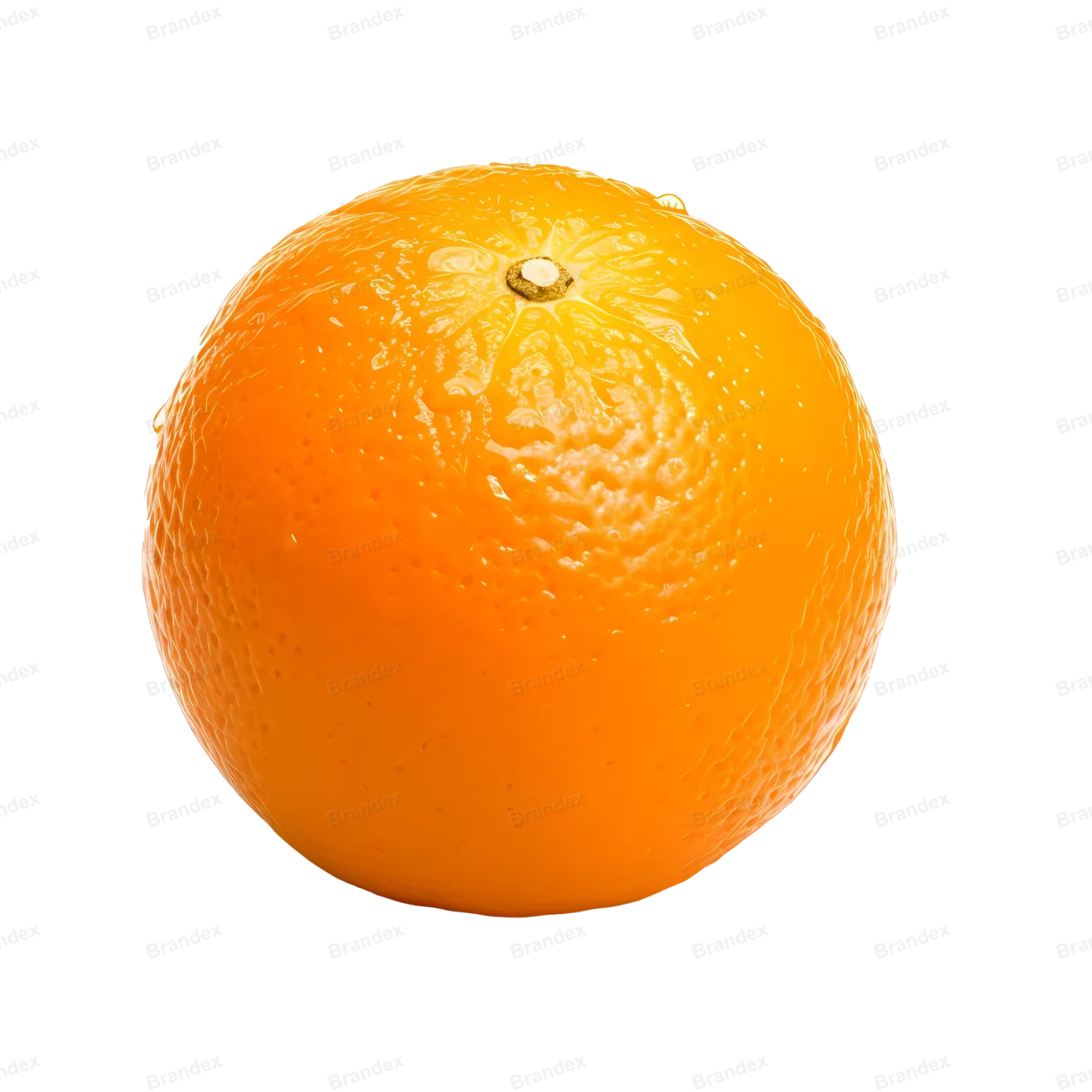 Fresh Orange Fruit Slice - Isolated PSD Cutout (3)