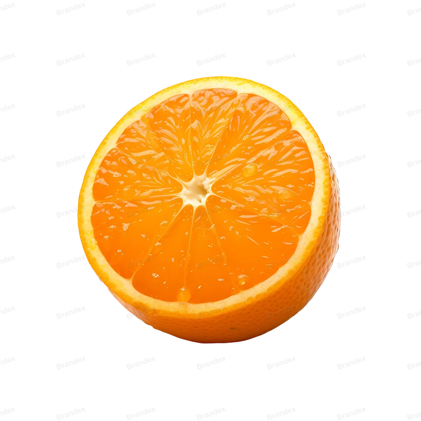 Fresh Orange Fruit Slice - Isolated PSD (6)