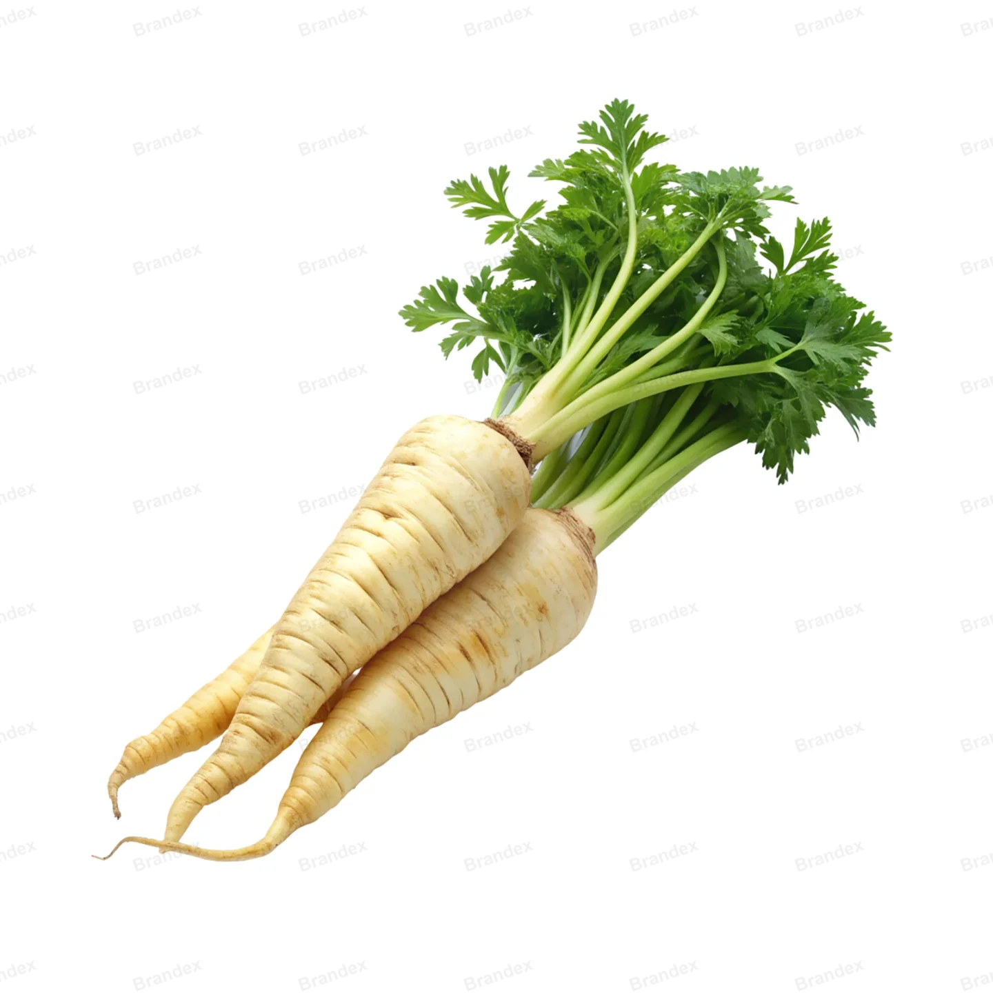 Fresh Parsnip Vegetable - Isolated PSD on Transparent Background