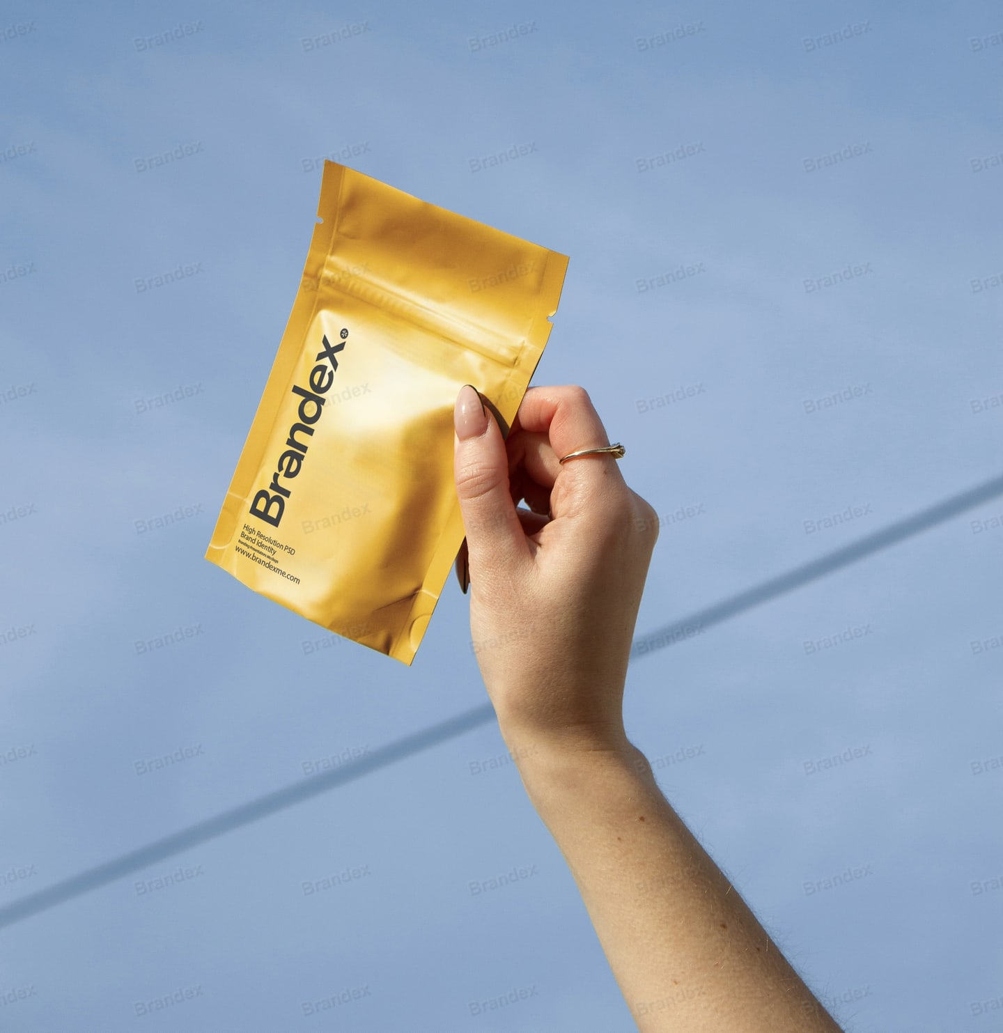 Brandex PSD Bag Packaging Mockup Design Presentation